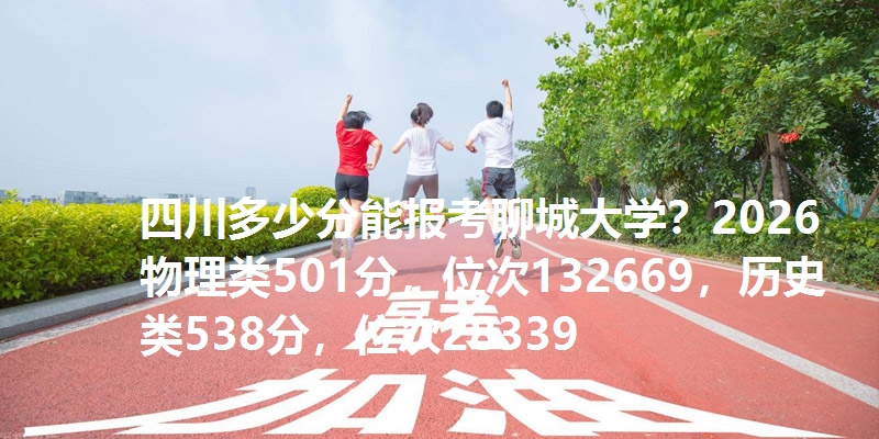四川多少分能报考聊城大学？2026物理类501分，位次132669，历史类538分，位次28339
