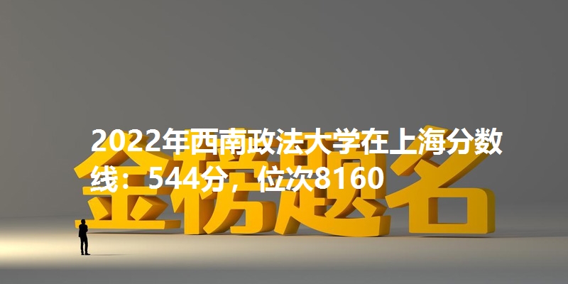 2022年西南政法大学在上海分数线：544分，位次8160