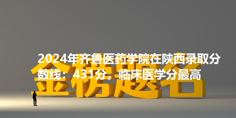 2024年齐鲁医药学院在陕西录取分数线：431分，临床医学分最高
