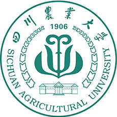 2025四川农业大学研究生复试分数线
