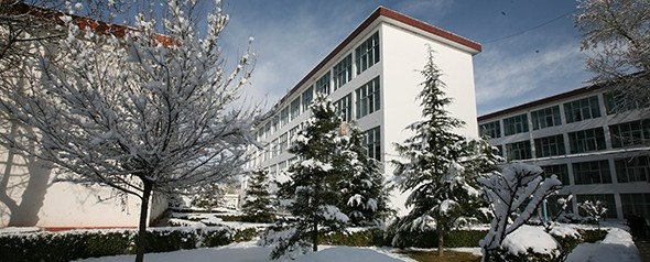 西藏大学2025地方专项分数线：理科最低318分