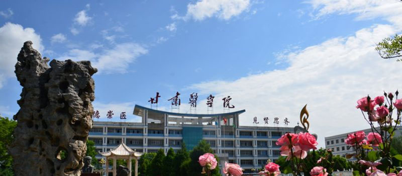 甘肃医学院2025分数线和录取位次(含提前批免费医学生和专科批)