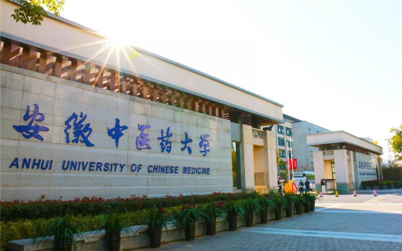 安徽中医药大学009专业组有哪些专业 最低多少分