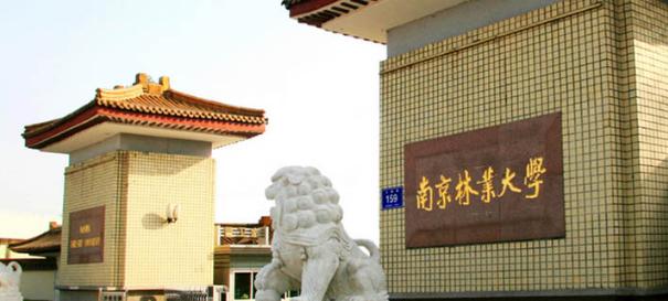 南京林业大学