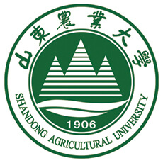 山东农业大学录取分数线