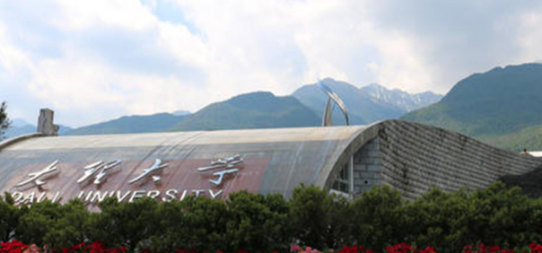 大理大学