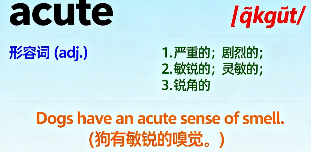 高考英语acute单词全面解读：3大核心语义、真题考点