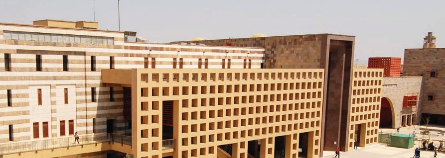 埃及国际大学