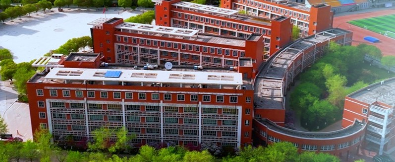 新疆2025年单列类“三校生升高职”批次投档分数线 新疆2025年单列类“三校生升高职”批次投档分数线