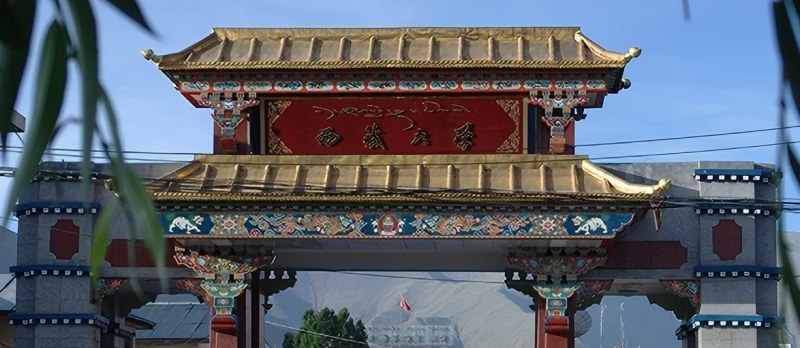 西藏大学2025河南录取分数线和招生计划：历史类最低562分