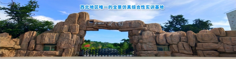 甘肃工业职业技术大学2025录取分数线和位次 甘肃工业职业技术大学2025录取分数线和位次