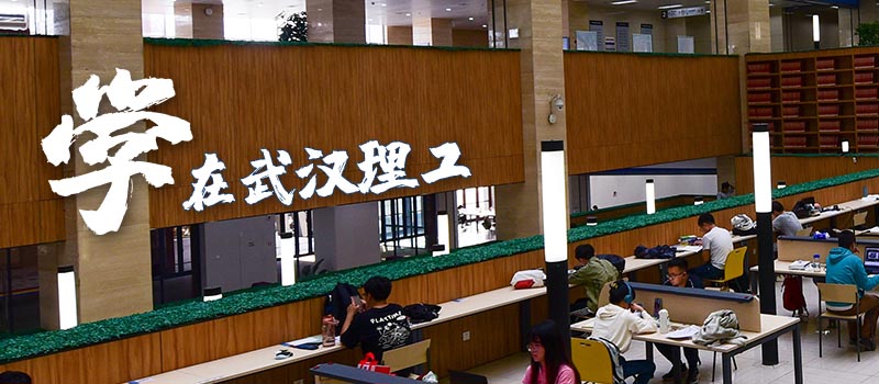 武汉理工大学2025艺术类各省分数线