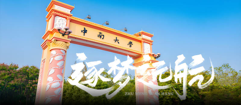 2026安徽物理类多少分能上985大学