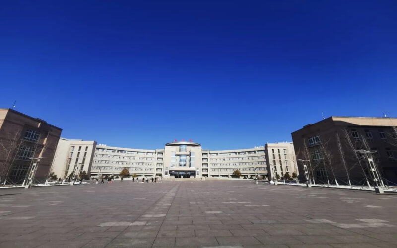 中外合作办学石油工程专业就业情况