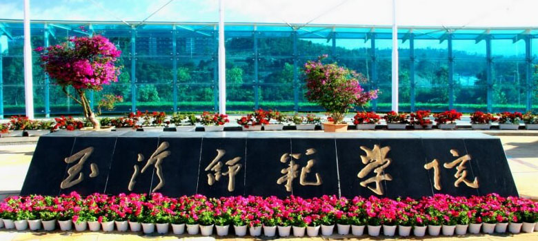 玉溪师范学院校园 玉溪师范学院校园
