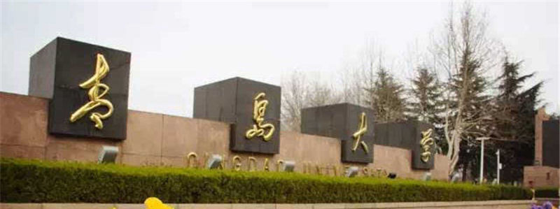 2025年青岛大学在山东普通类专业分数线和位次：最低547分