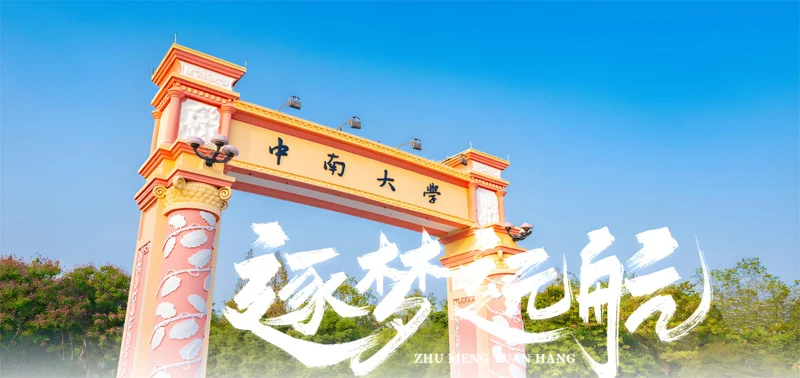 中南大学有哪些中外合作办学专业 中南大学有哪些中外合作办学专业