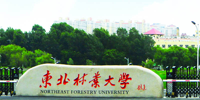 东北林业大学是985还是211?2026多少分能考上?预计560分