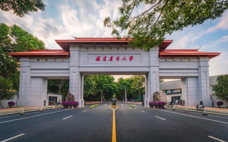2025福建农林大学录取分数线(含中外合作和专项计划) 2026参考