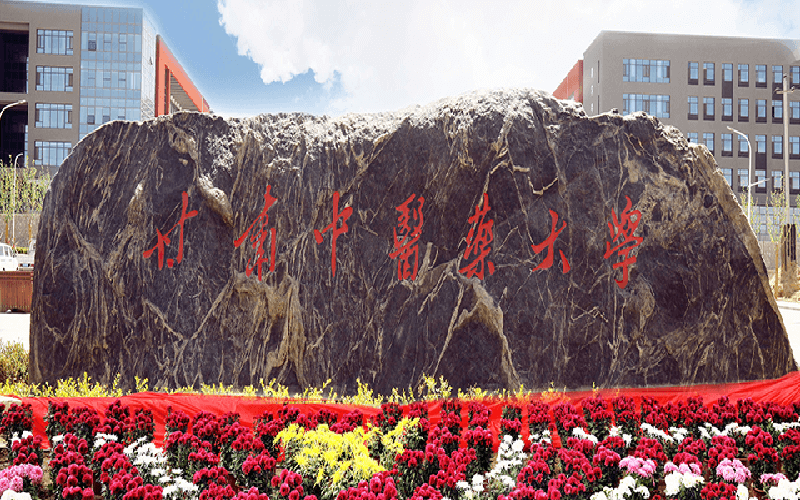 甘肃中医药大学分数线