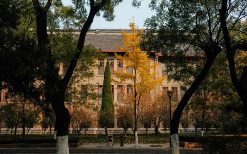 山东大学2025年各专业录取分数线 山东大学2025年各专业录取分数线