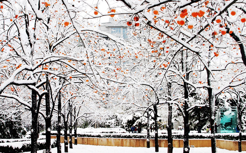 北京理工大学 北京理工大学