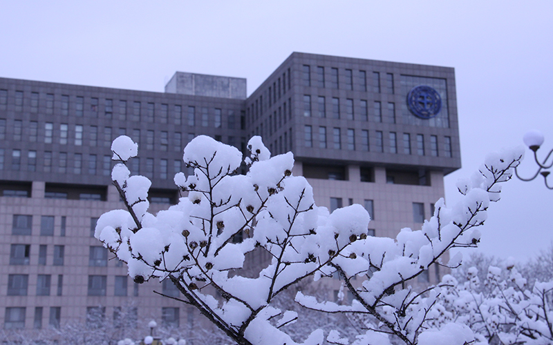 中国地质大学 中国地质大学