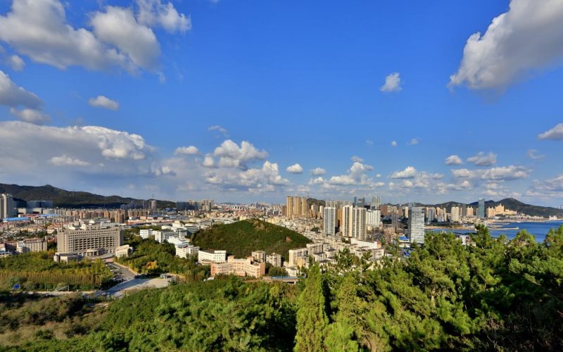 东北财经大学2025年录取分数线多少？全国各省各科类最低分一览