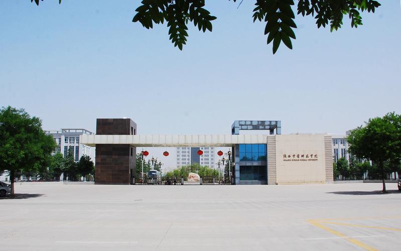 考陕西学前师范学院要多少分