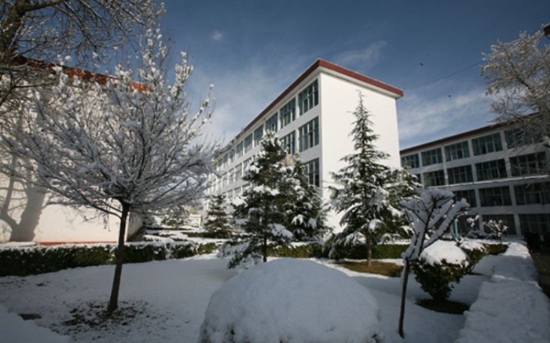 2026年西藏大学在青海录取分数线：历史类446分，物理类434分
