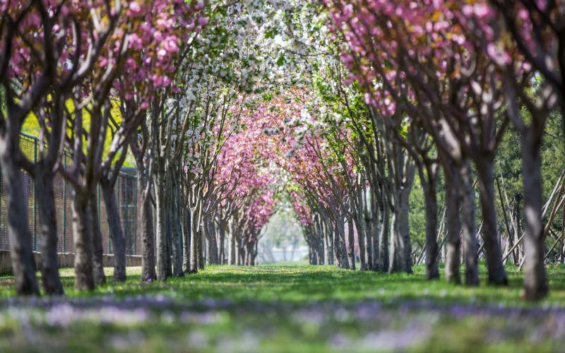 江苏体育类体育(文)北京体育大学2027参考分