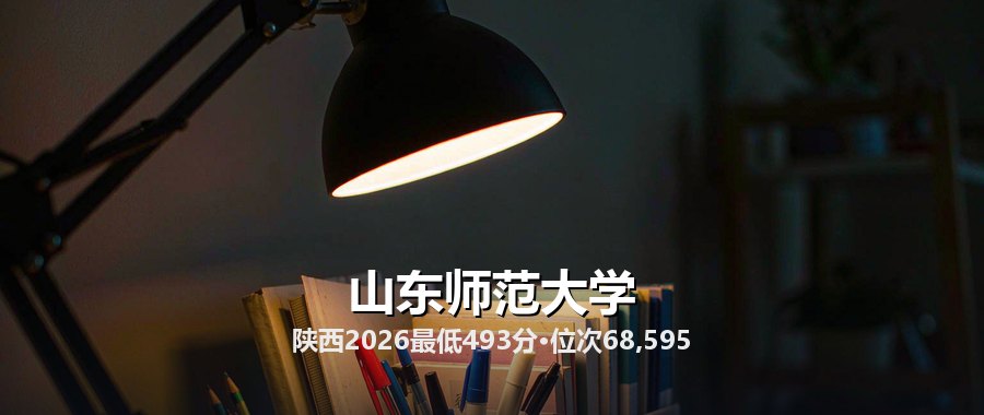 山东师范大学陕西录取数据复盘：493分进校，533分才够头部专业