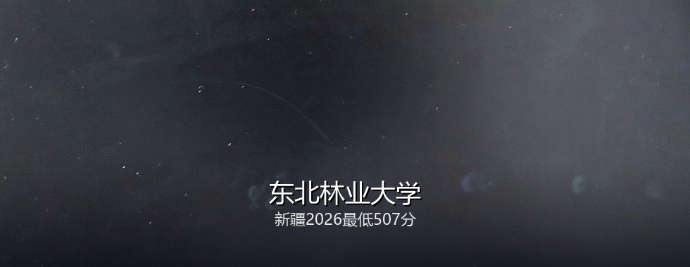 新疆多少分能读东北林业大学？2026最低507分、热门专业567分