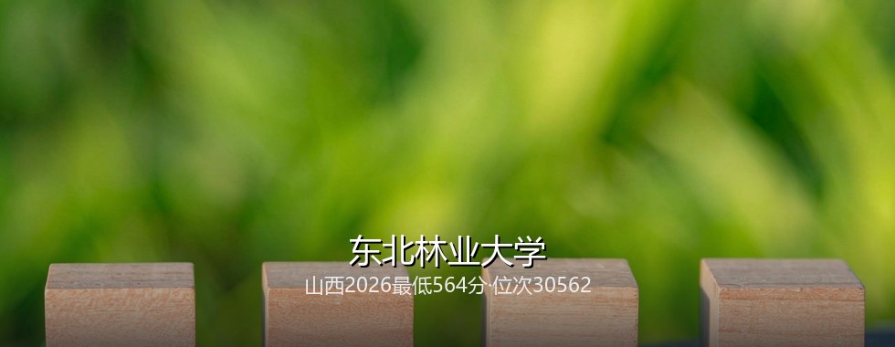 2027山西物理类考生报考东北林业大学分数线拆解：564分起，最高603分