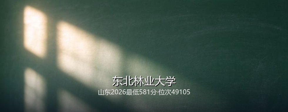 2027山东综合改革考生报考东北林业大学分数线拆解：581分起，最高606分