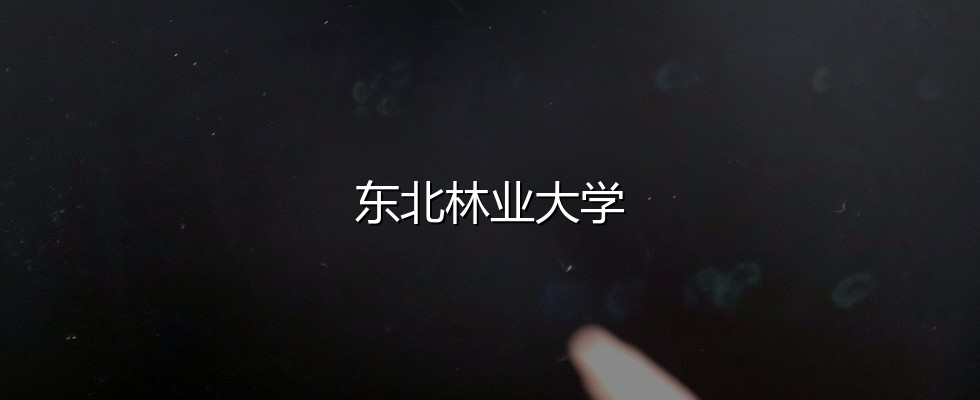 2027吉林物理类考生报考东北林业大学分数线拆解：535分起，最高579分