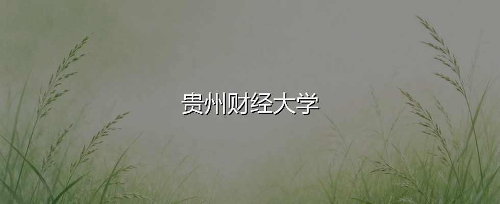 贵州财经大学