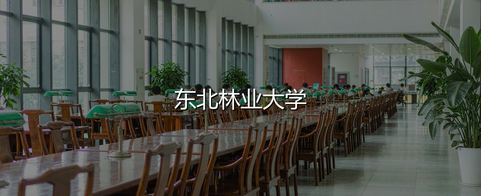 东北林业大学在湖南录取三年回顾：从556分到562分，2027怎么填
