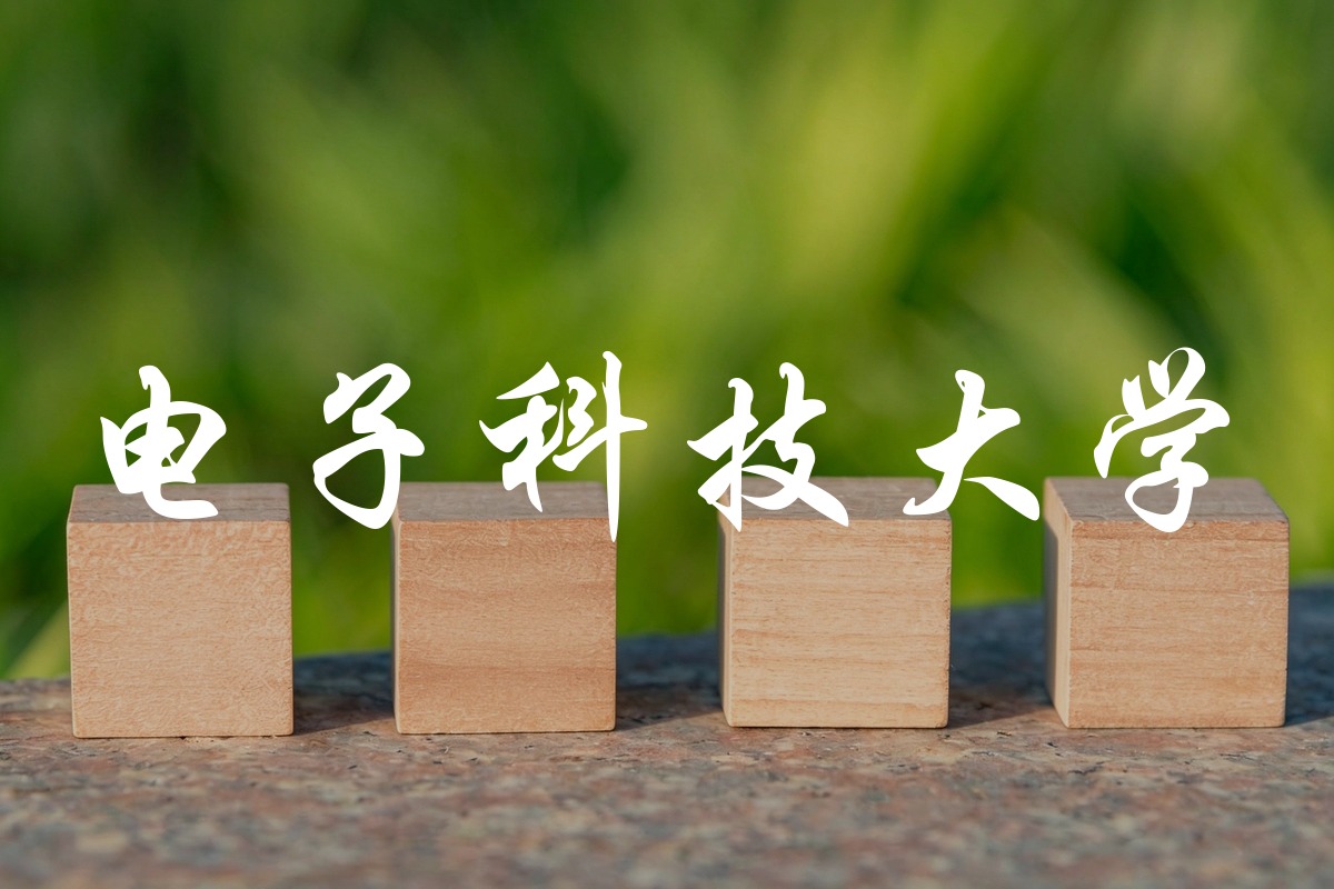 电子科技大学录取数据