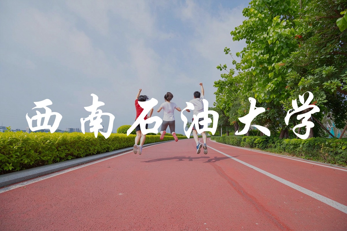 西南石油大学录取数据