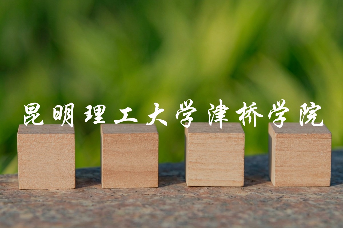 昆明理工大学津桥学院录取数据