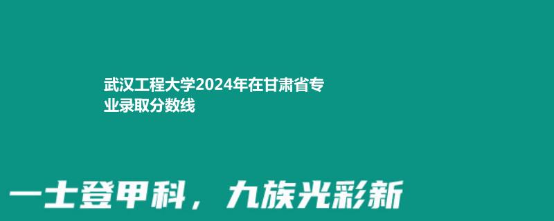 武汉工程大学2024年在甘肃省专业录取分数线