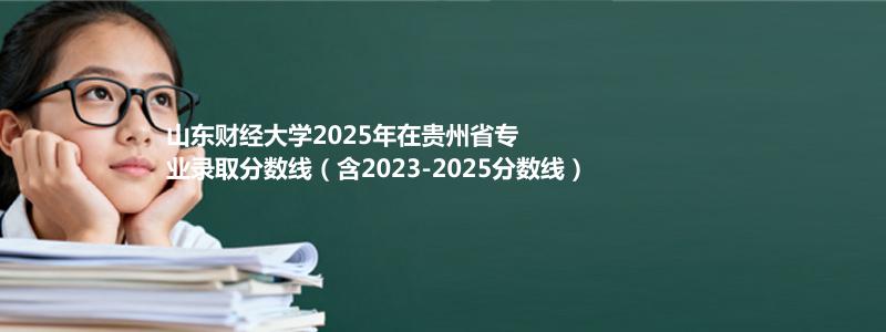 山东财经大学2025年在贵州专业录取分数线(含2023-2025历年)