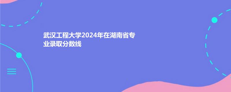 武汉工程大学2024年在湖南省专业录取分数线