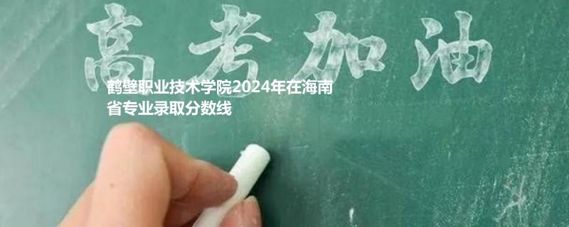 鹤壁职业技术学院2024年在海南省专业录取分数线