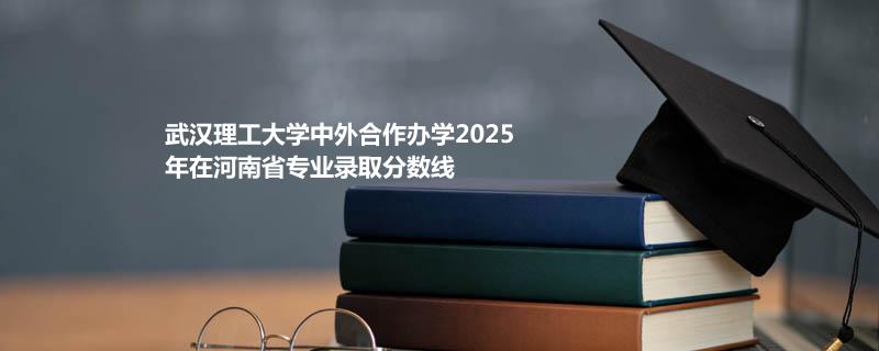 武汉理工大学中外合作办学2025在河南分专业分数线和最低位次
