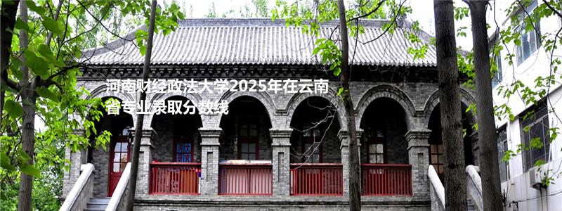 河南财经政法大学2025年在云南录取分数线(本科B段)