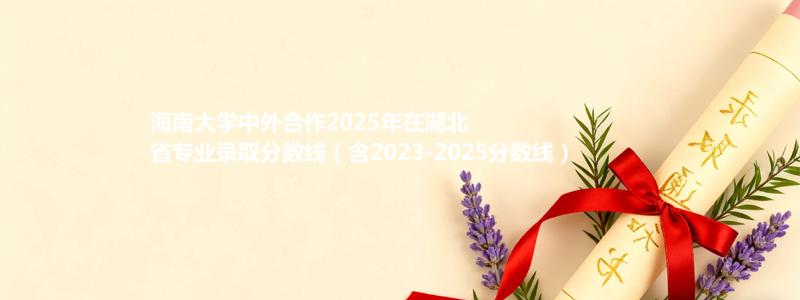 海南大学中外合作2025年在湖北省专业录取分数线（含2023-2025分数线）
