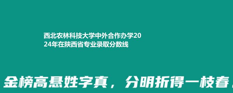 西北农林科技大学中外合作办学2024年在陕西省专业录取分数线