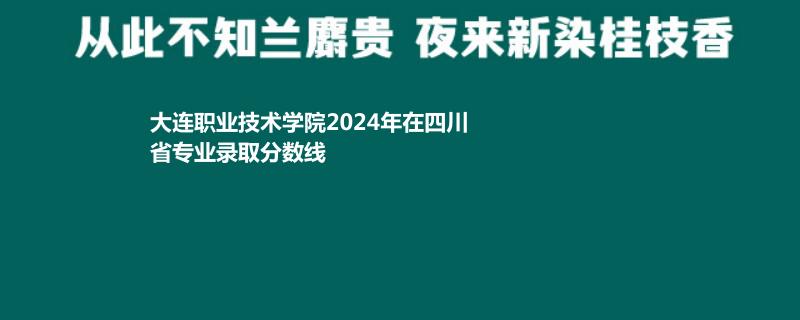 大连职业技术学院2024年在四川省专业录取分数线